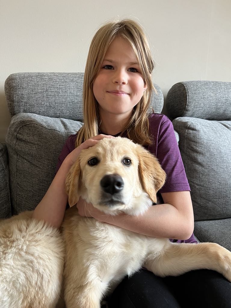 familiehunden står i fokus hos hundre % hund