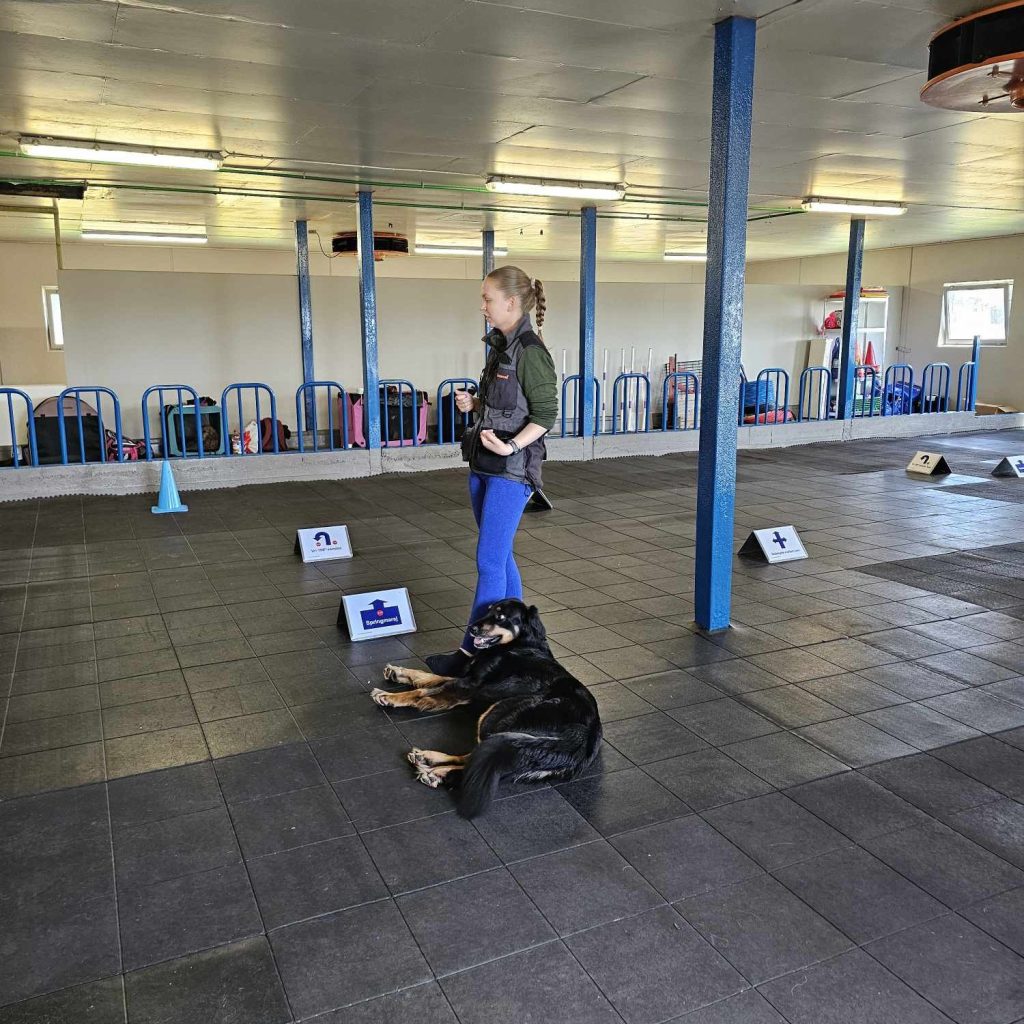 hundre%hund trening i storehallen